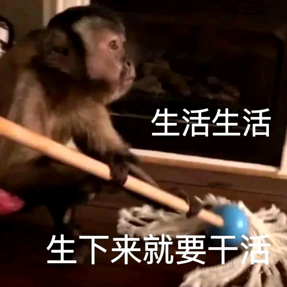 阿！？？