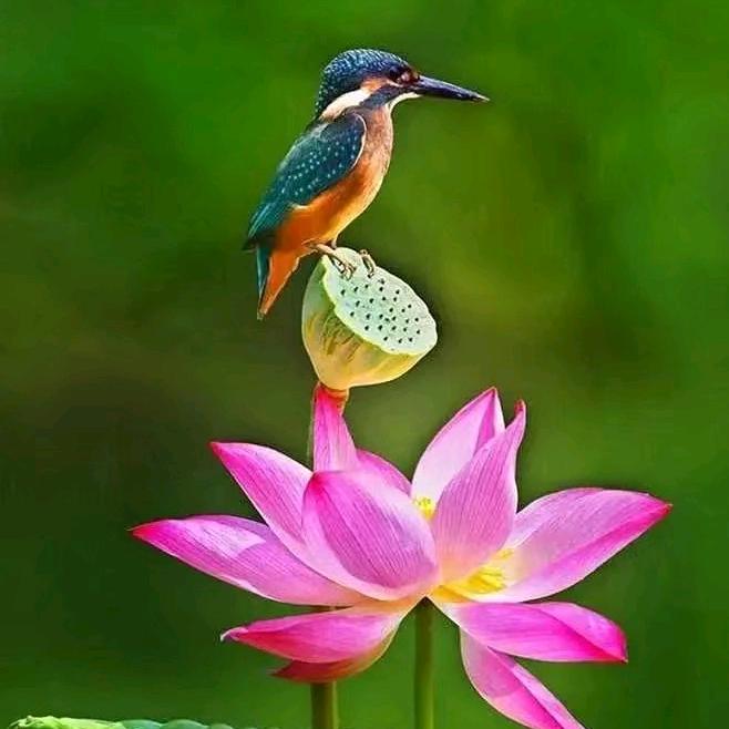 白云☁