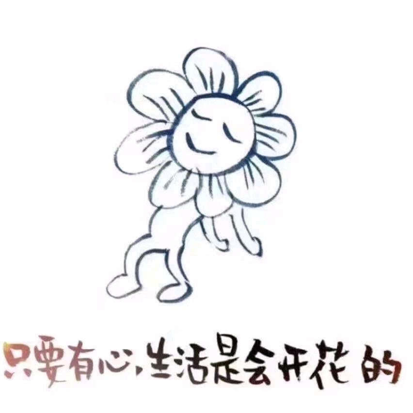 🌸过往不恋