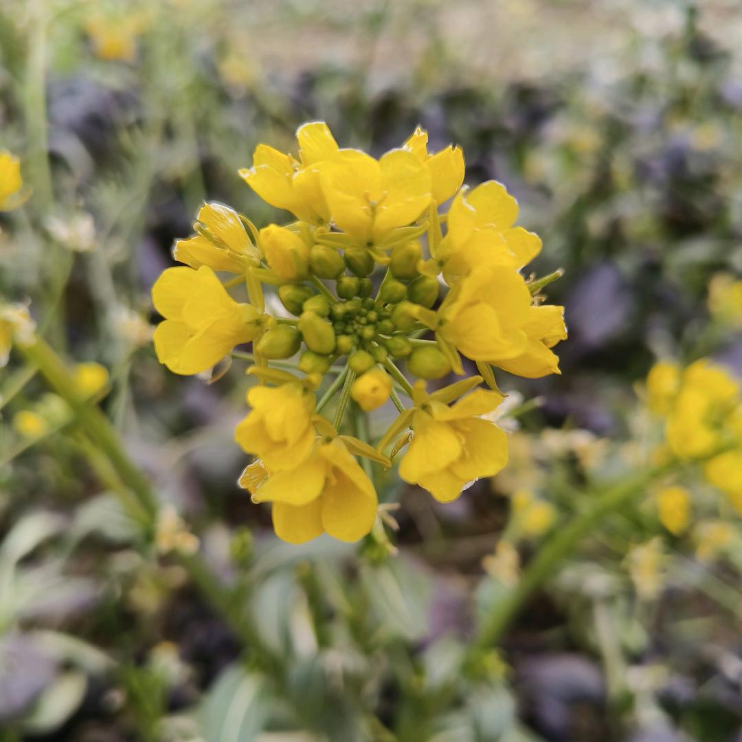 合翁说名-头等解析