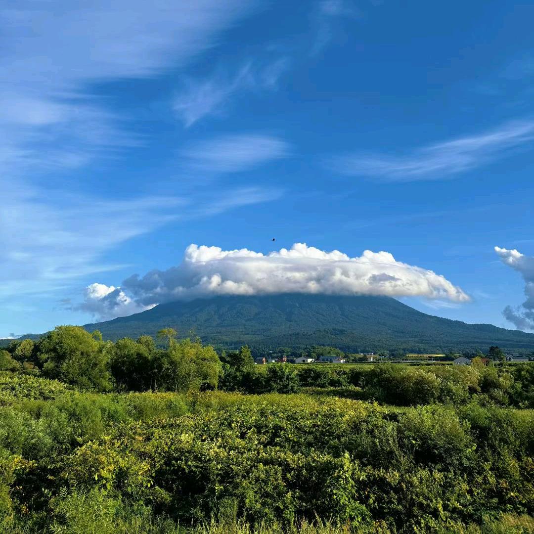 泰大宝