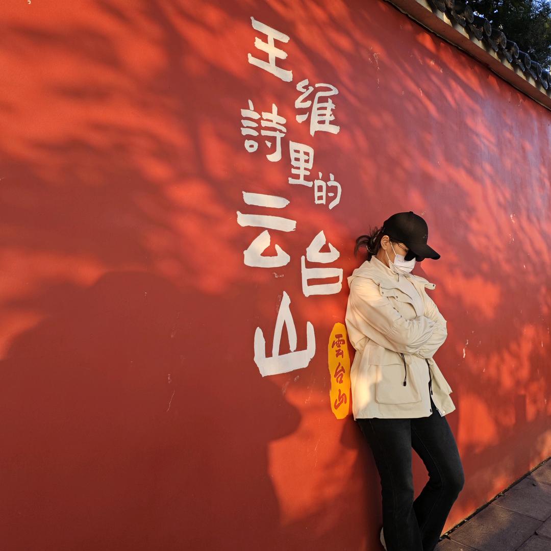 莫慌