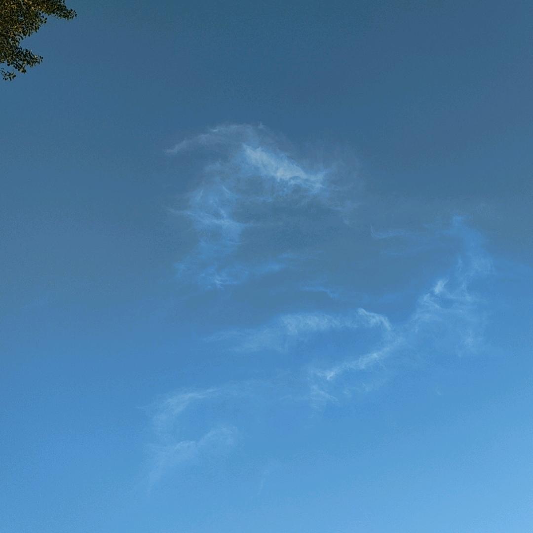 天慈、