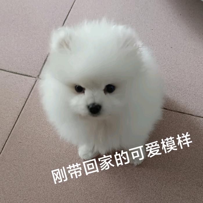 ～果果～