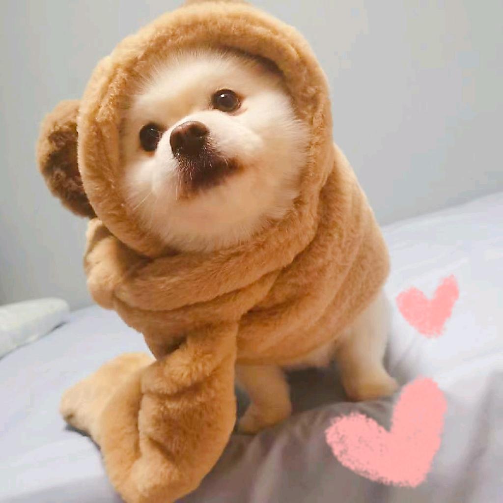 🌈🌈菜菜吃不胖