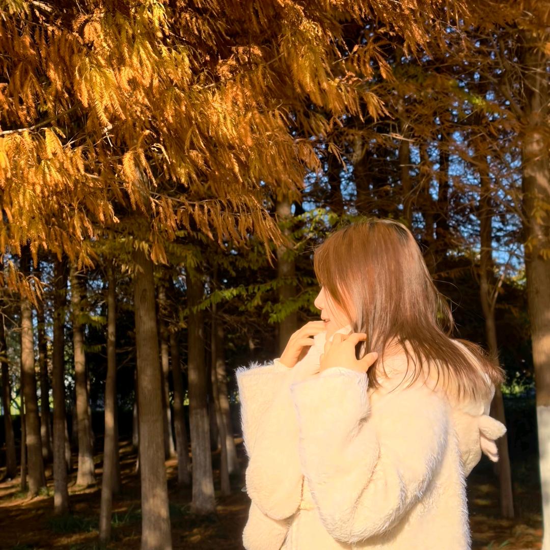 全世界最不会失眠的人