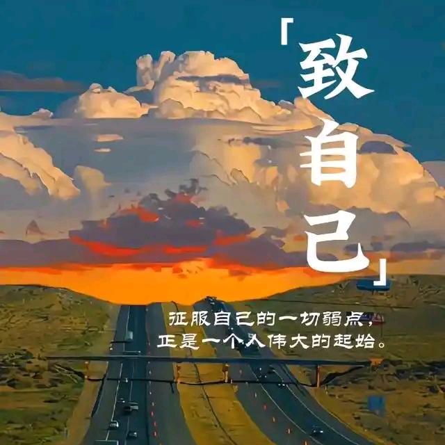 苑宇