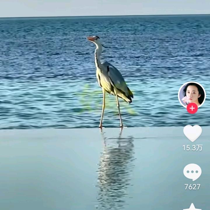 乘风踏浪