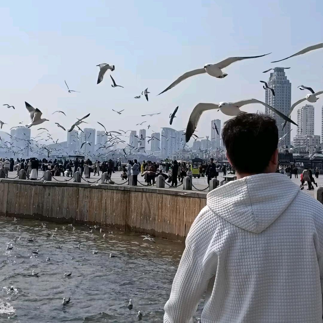迷踪蟹