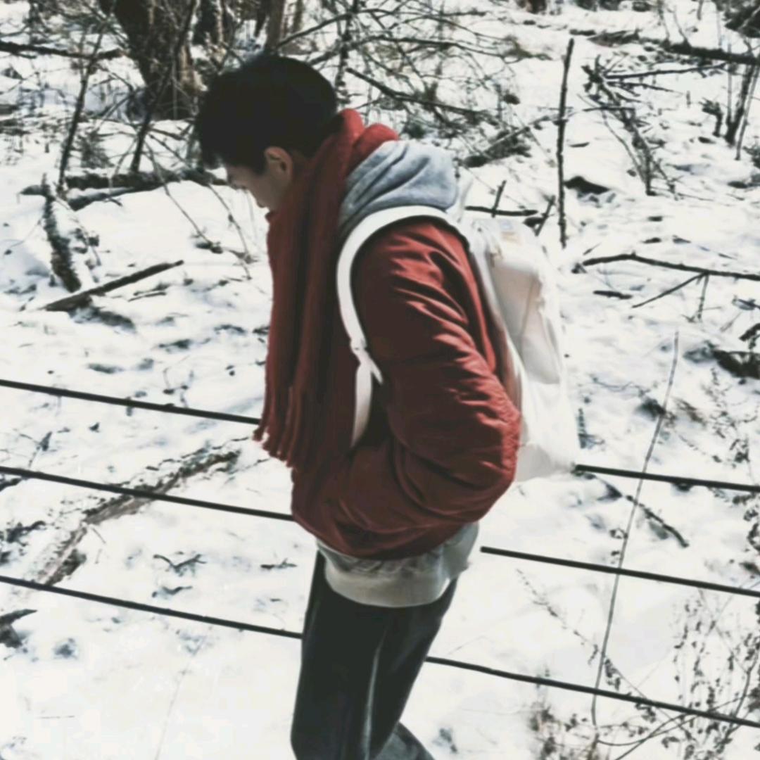 木木啊