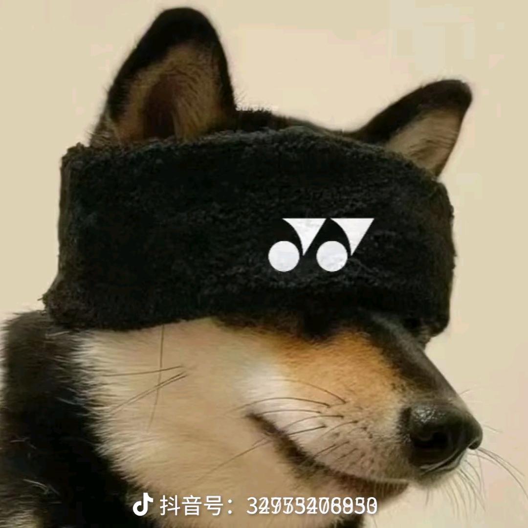起航体育李教练