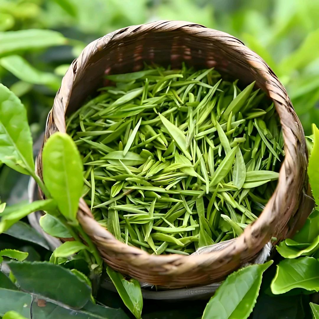 好彩妹百货好物