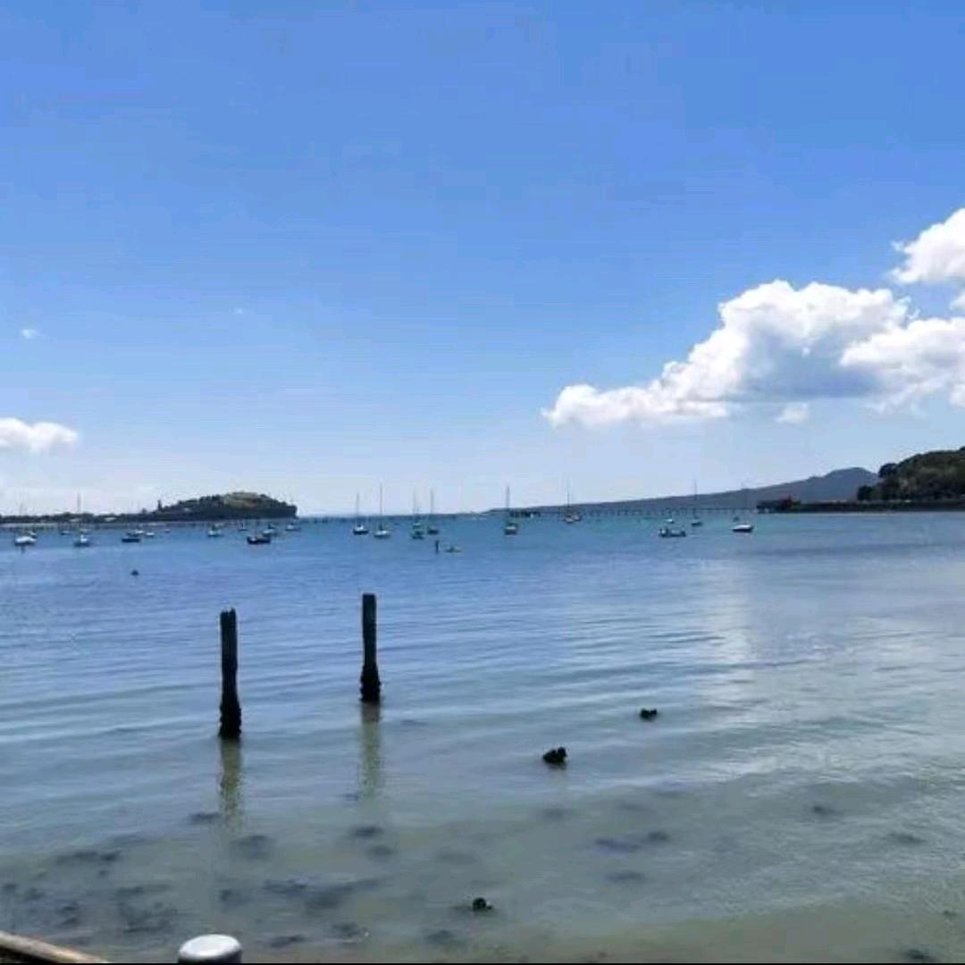 圆丰水产