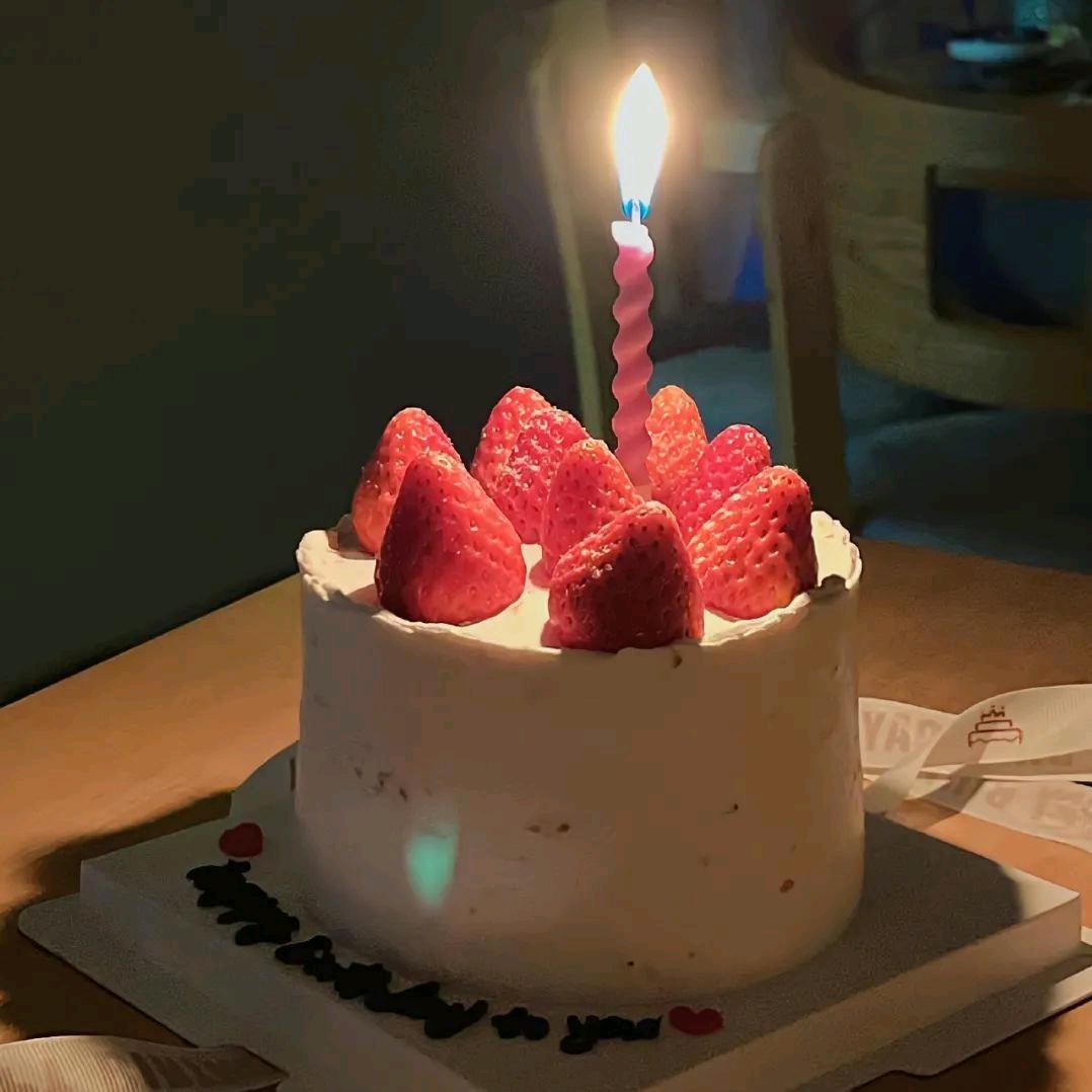 发发宠物用品店