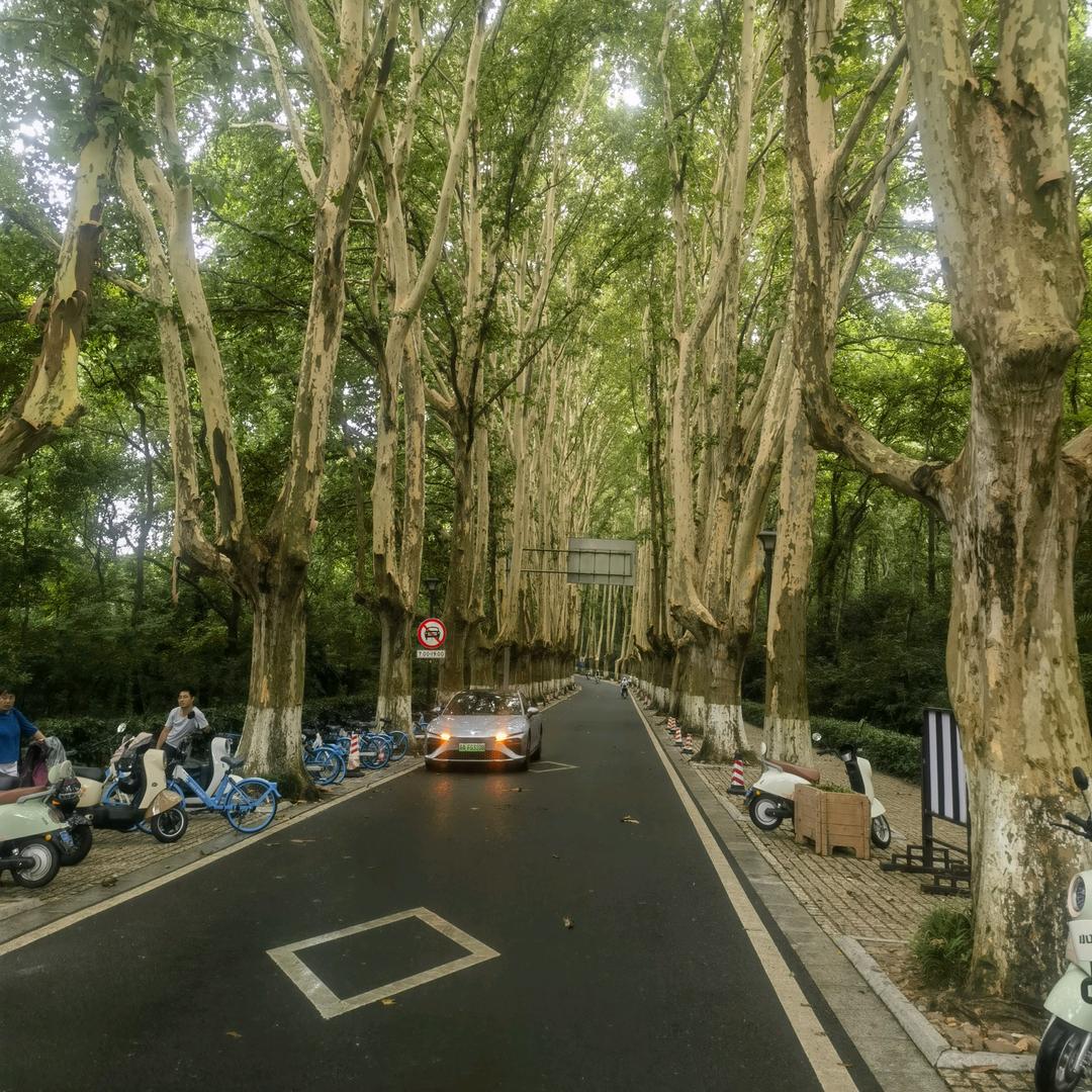 纵有疾风骤雨