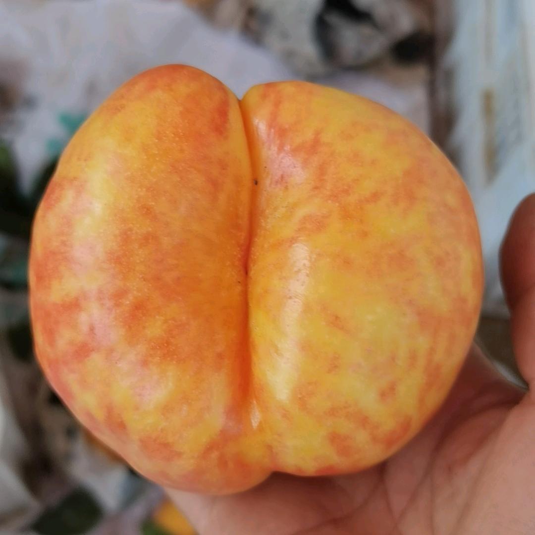 卖潘桃的静姐