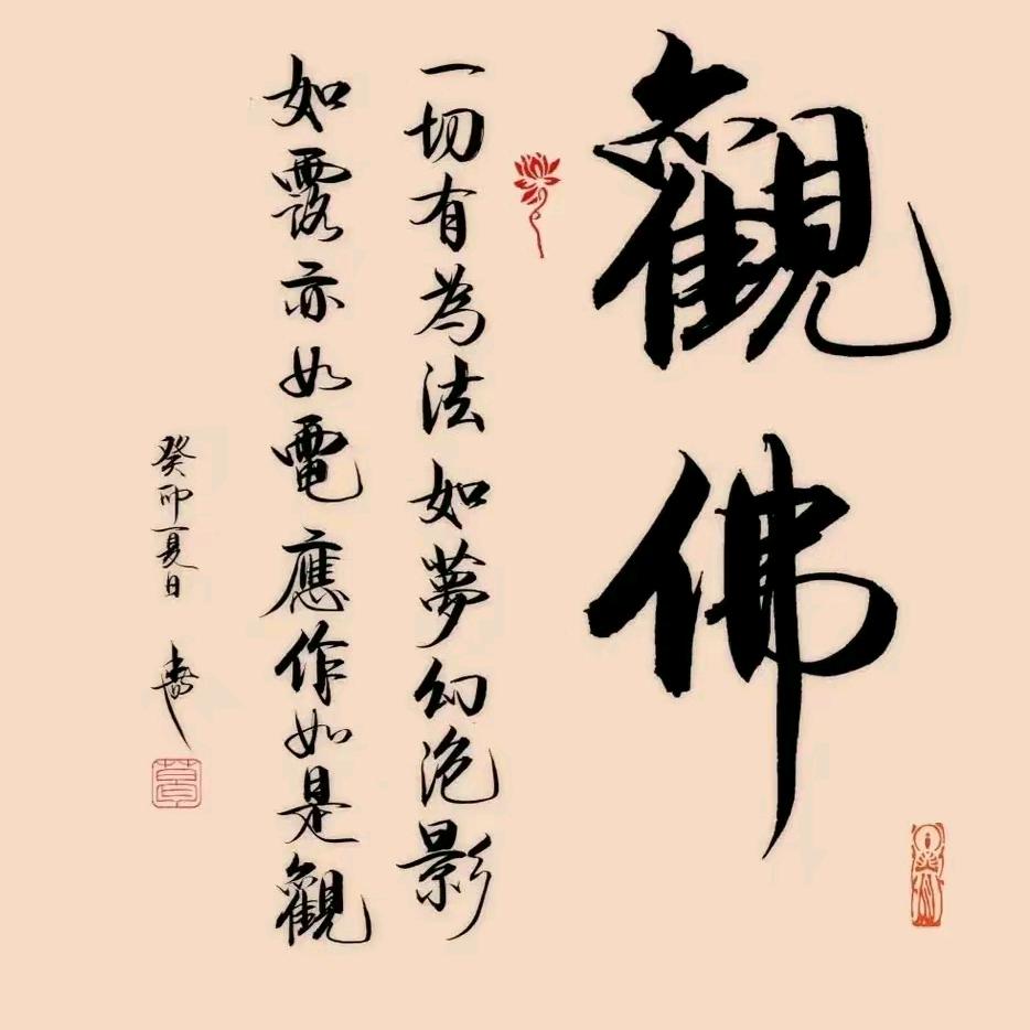 A佳佳