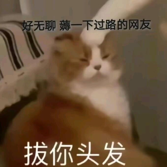 晚山___（心平气和不了版）