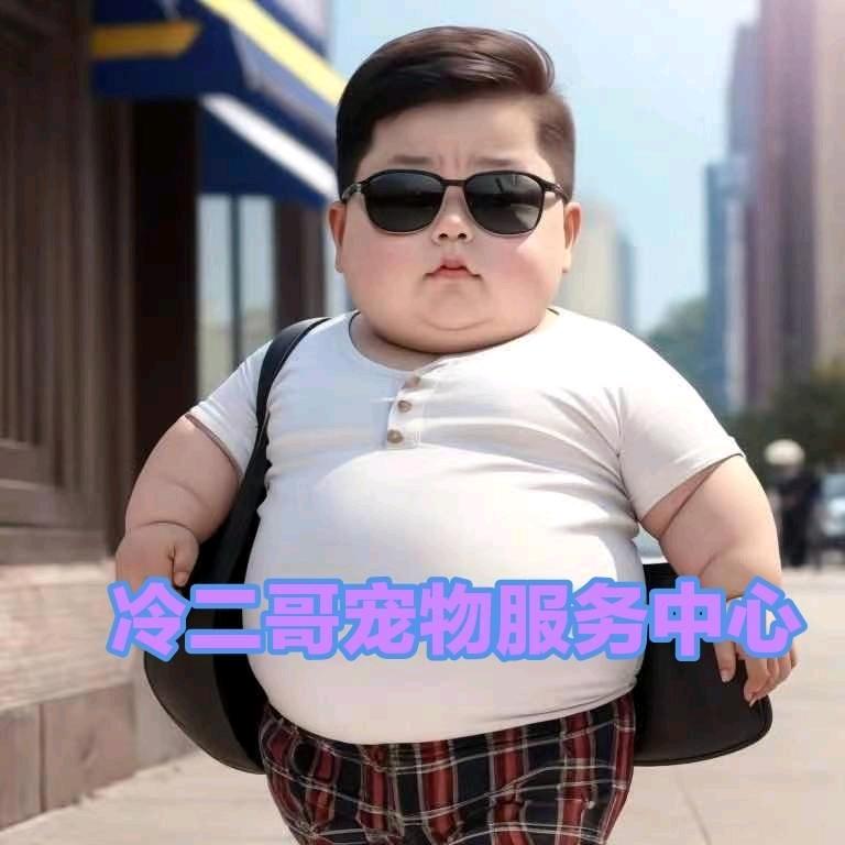 冷二哥宠物服务中心