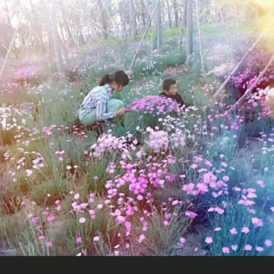 临涣水云阁养生馆