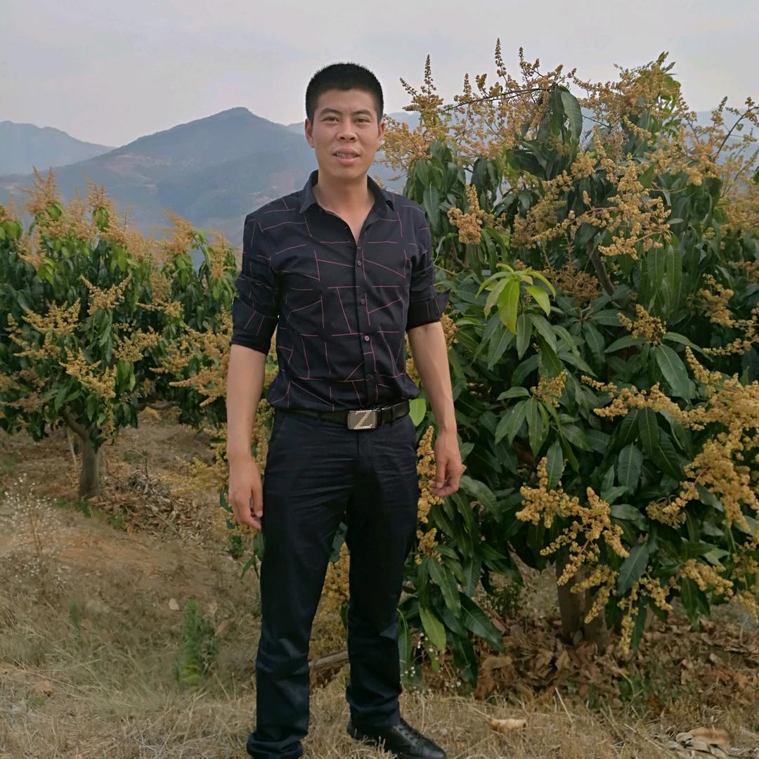 杨毫