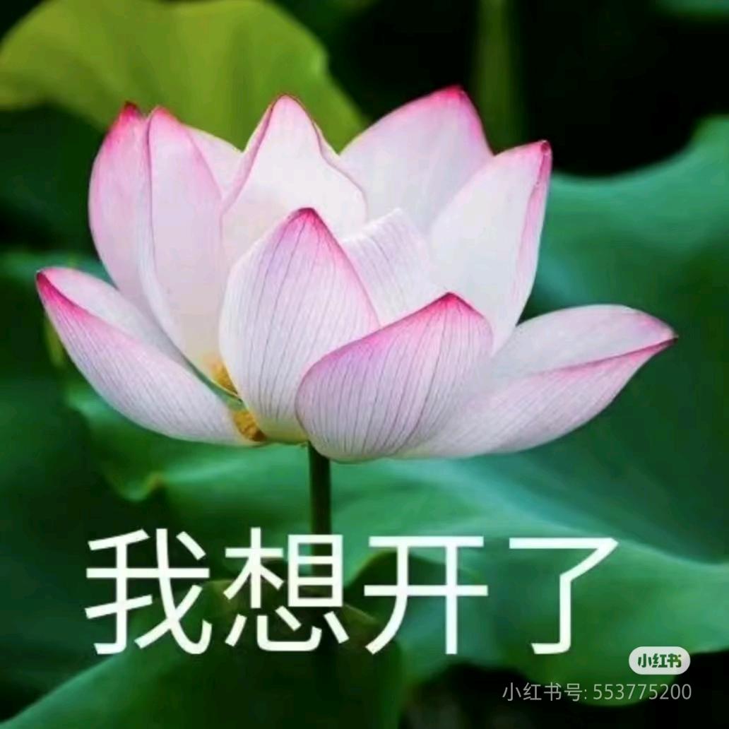 盏茶
