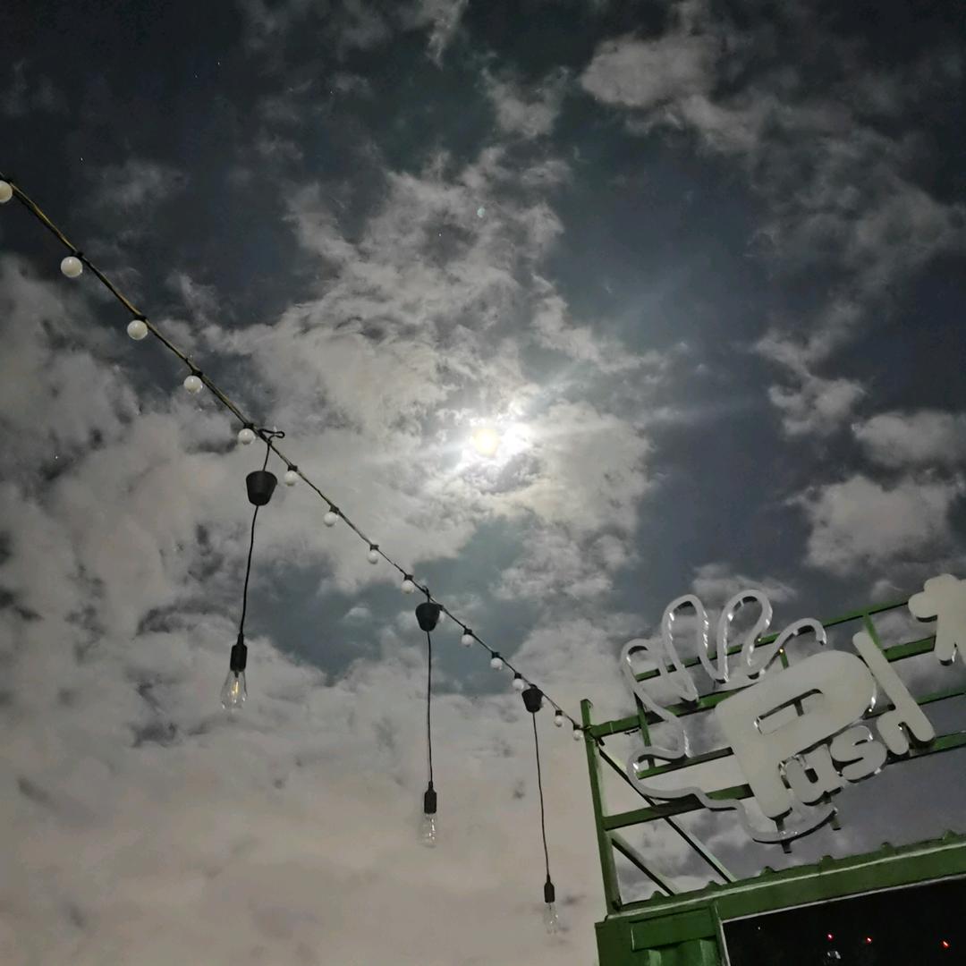 用户133456789