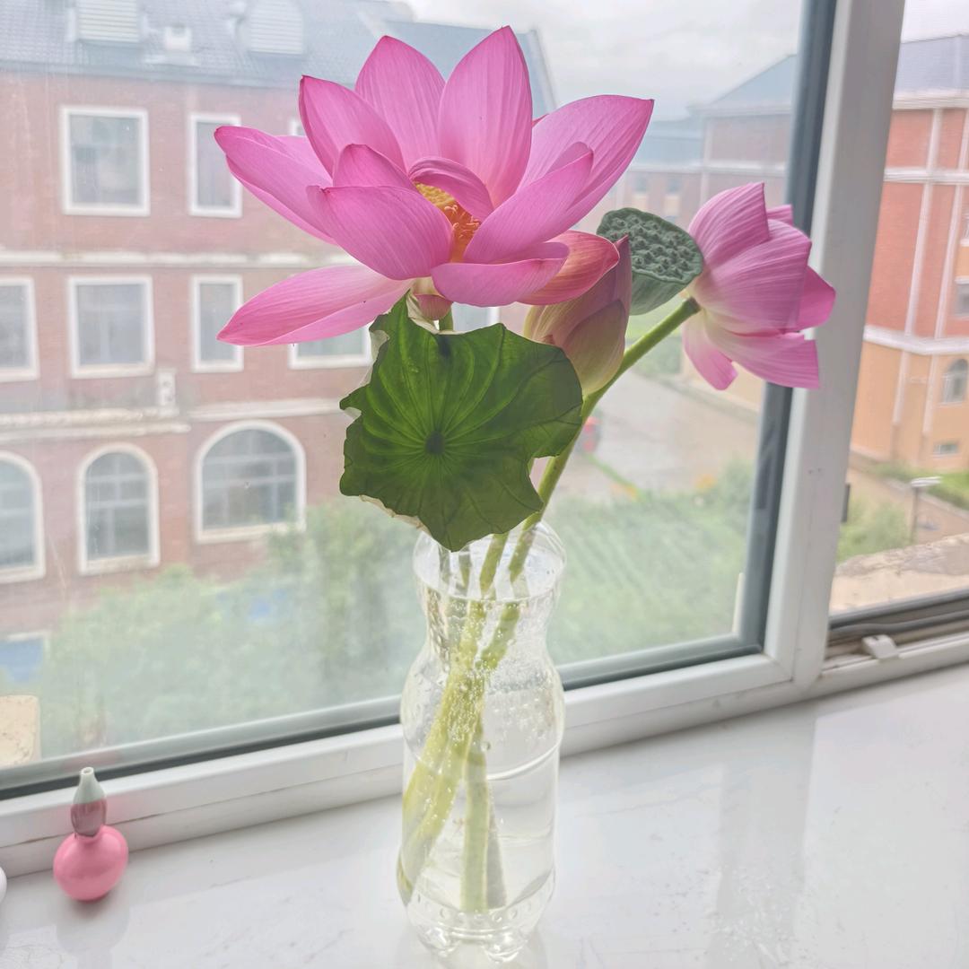 岳来月好