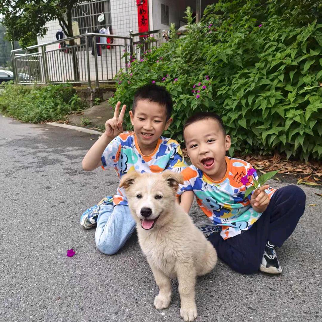 蔚！阿汤哥