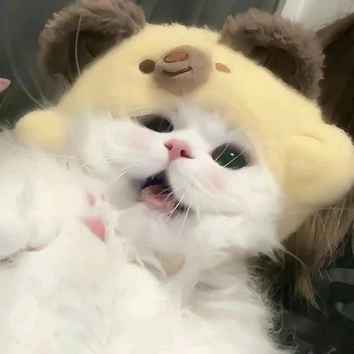 怪兽😍