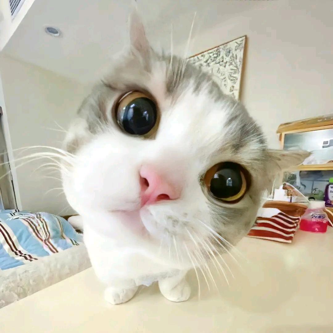 小牛宝宝^