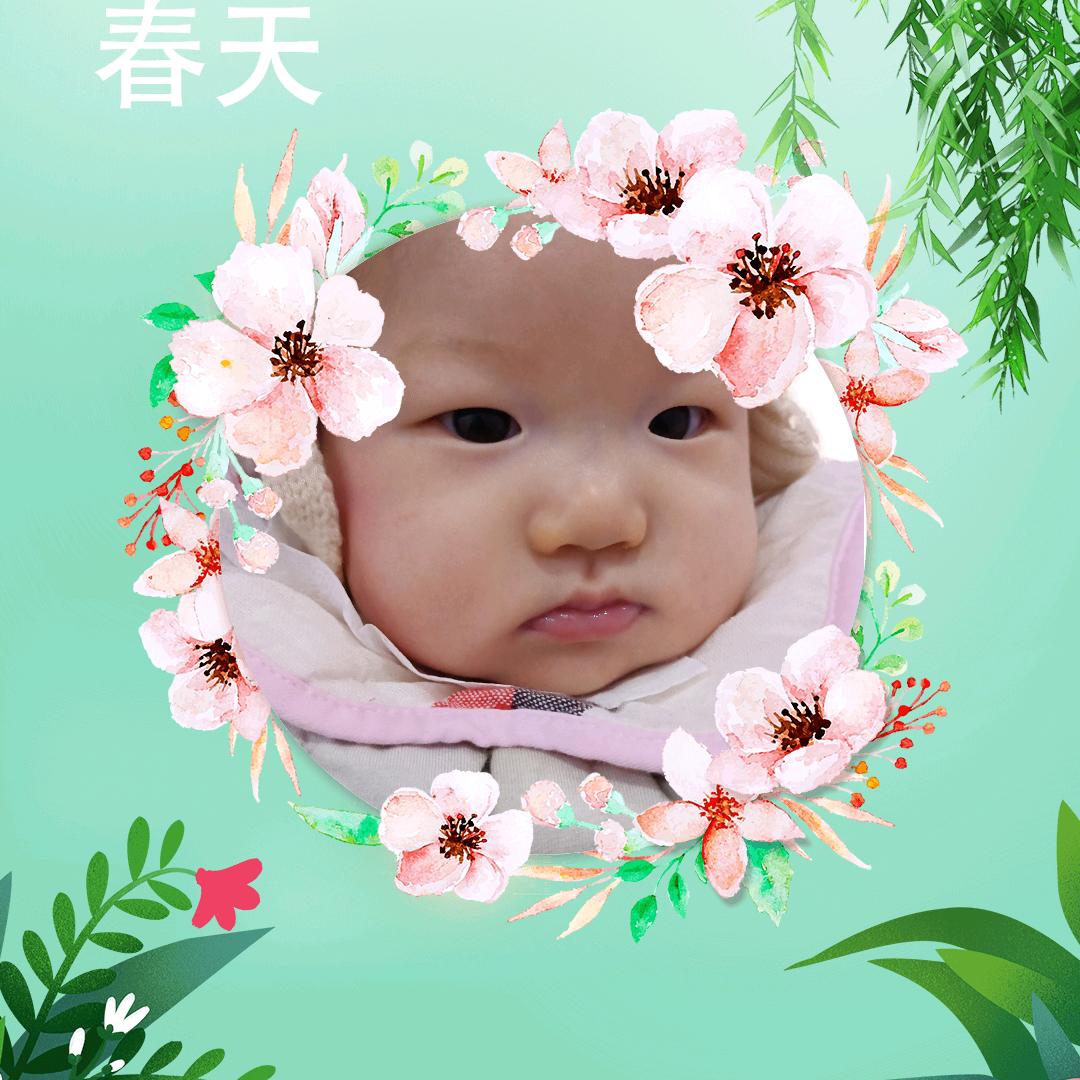 不老松，，唐