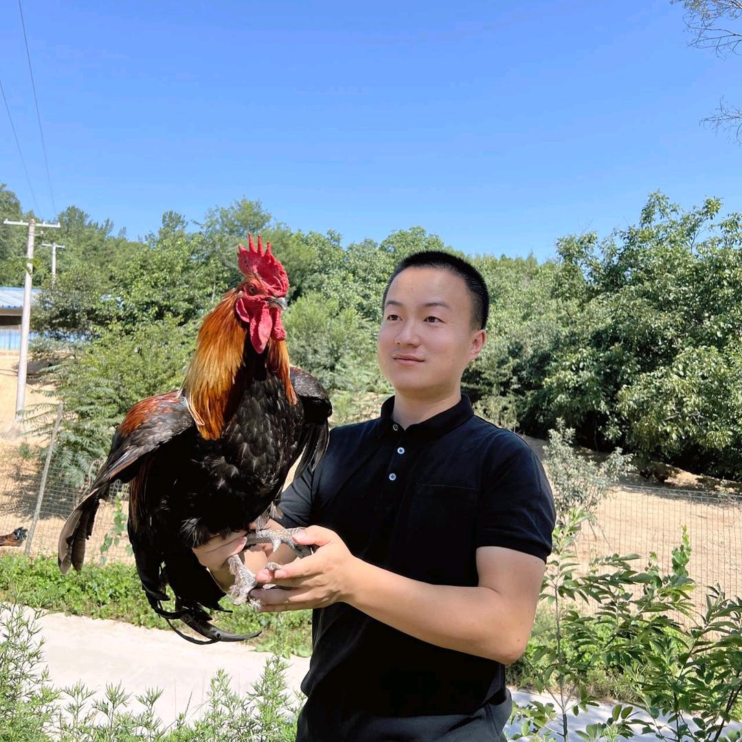 美吴珍品跑山鸡