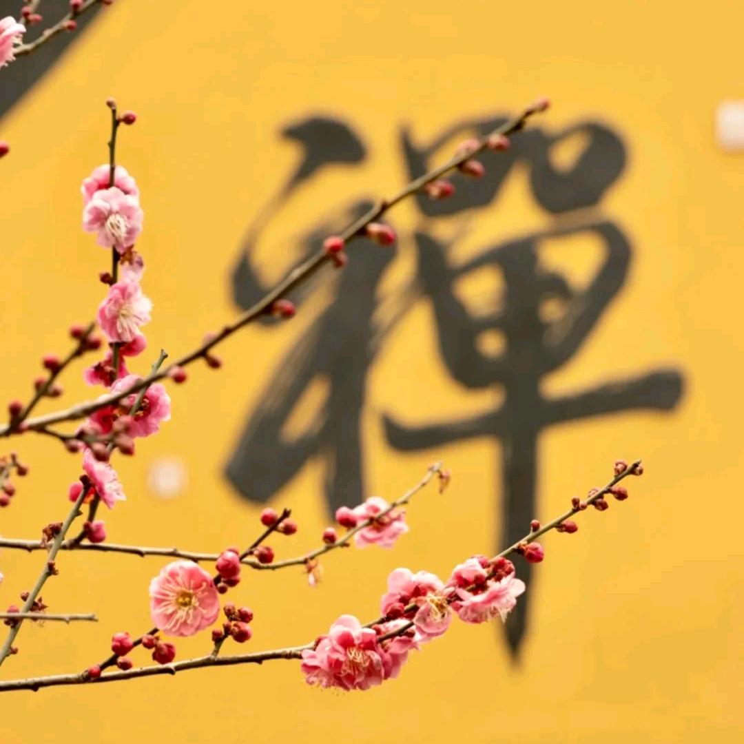 悟心