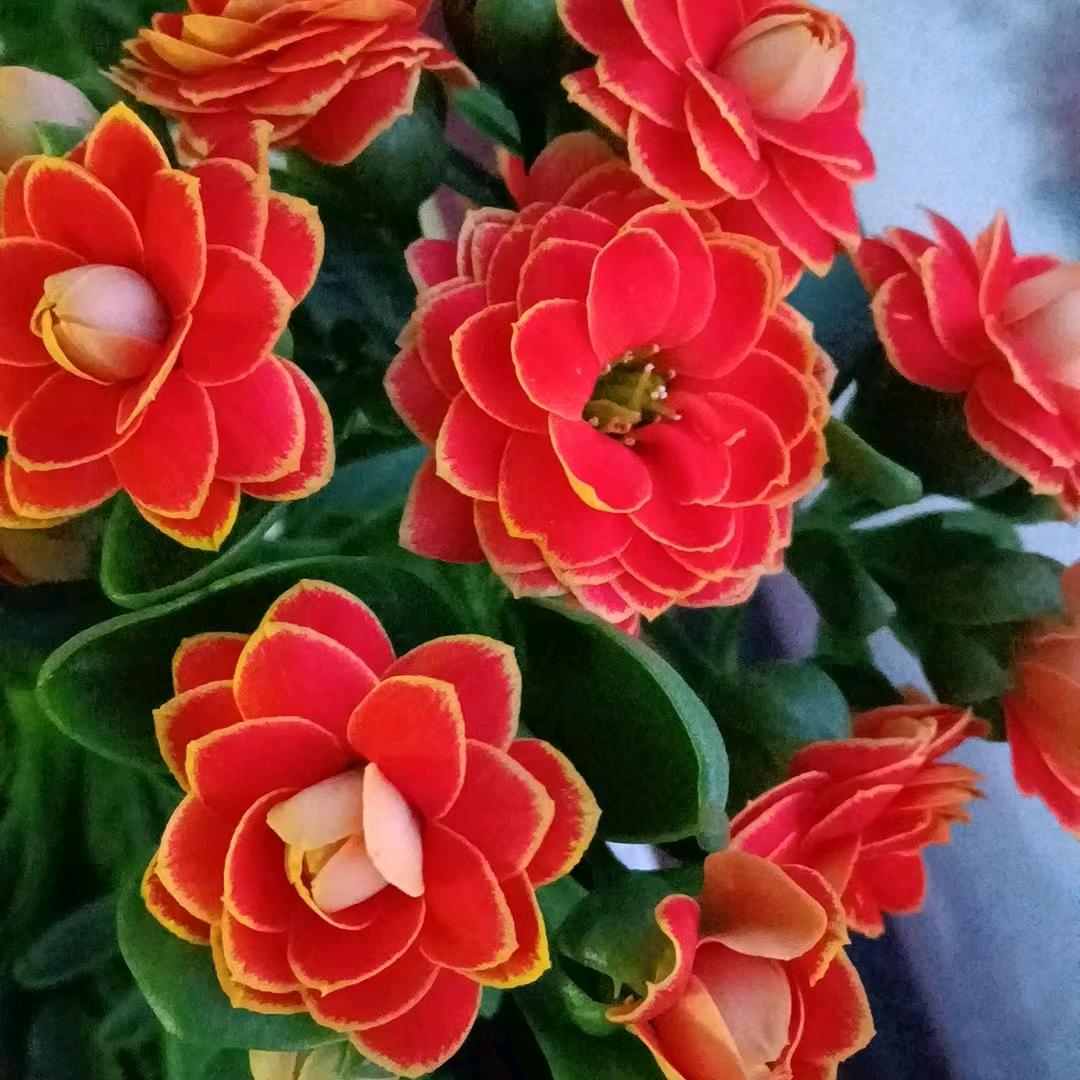 顺其自然。