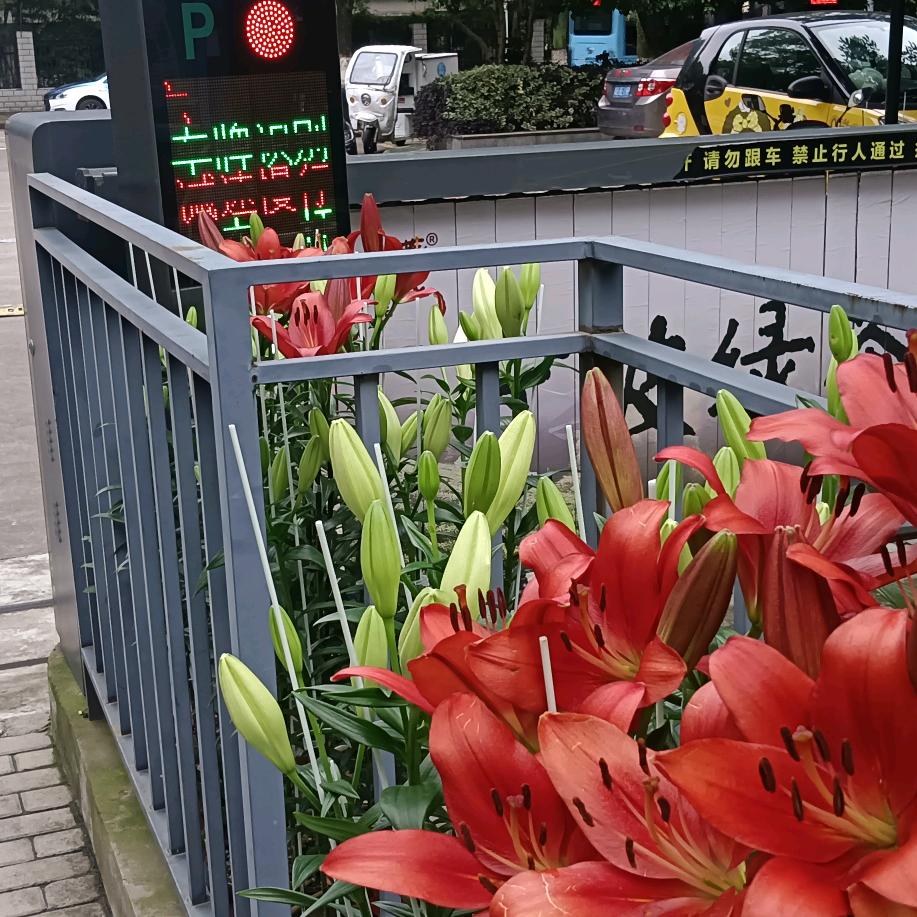 原来就是你