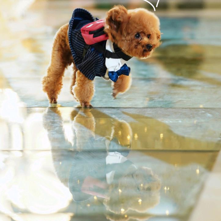 小明 