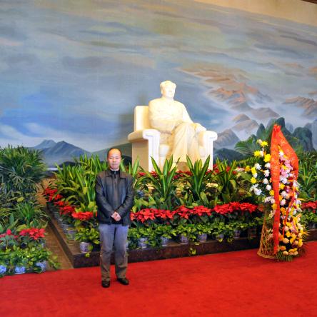 老树（苏州hyf）