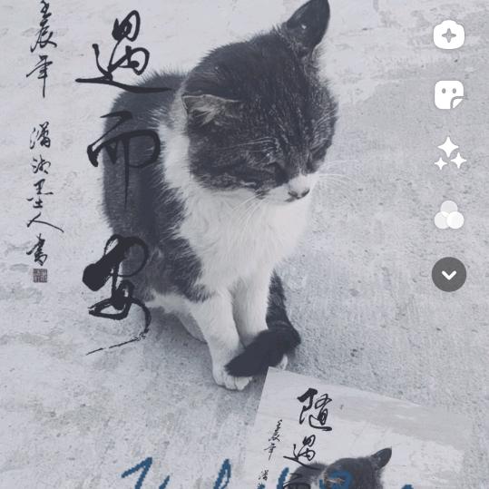 人生自有离别时   想找一个爱的人