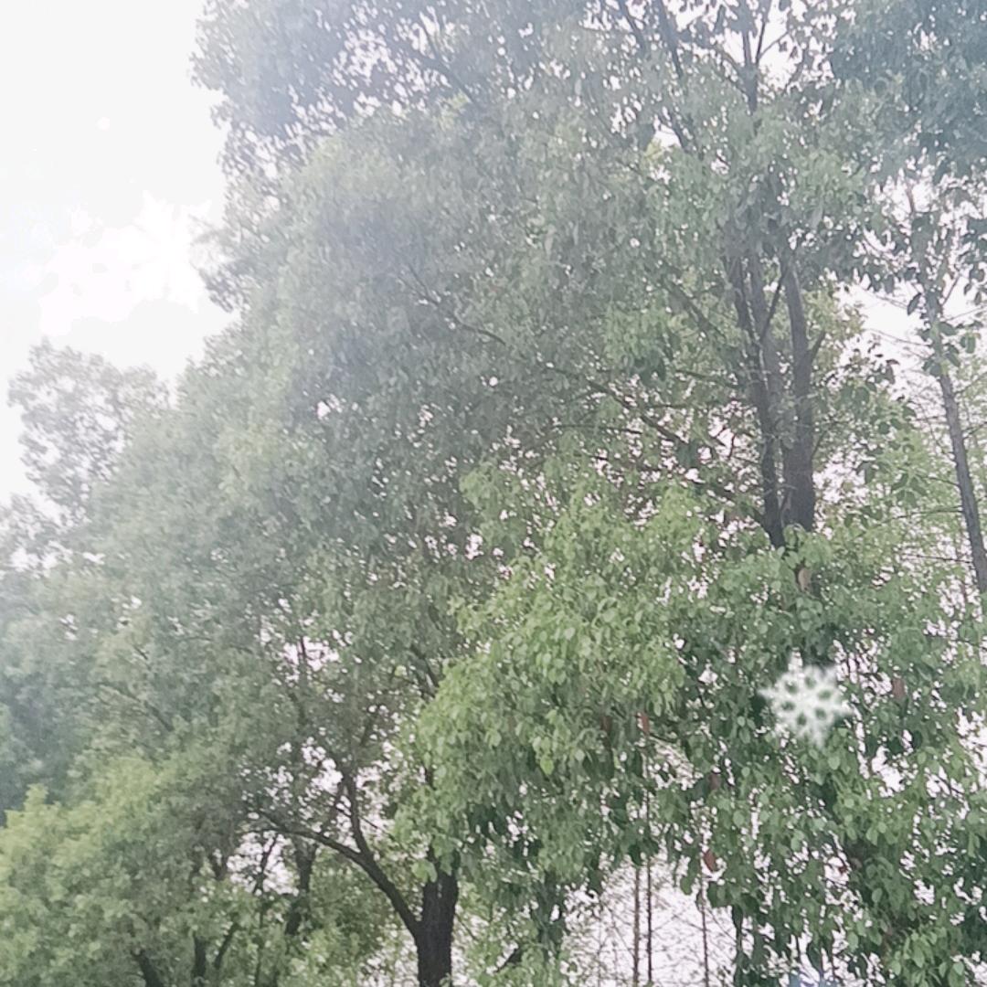 火~火🔥🔥