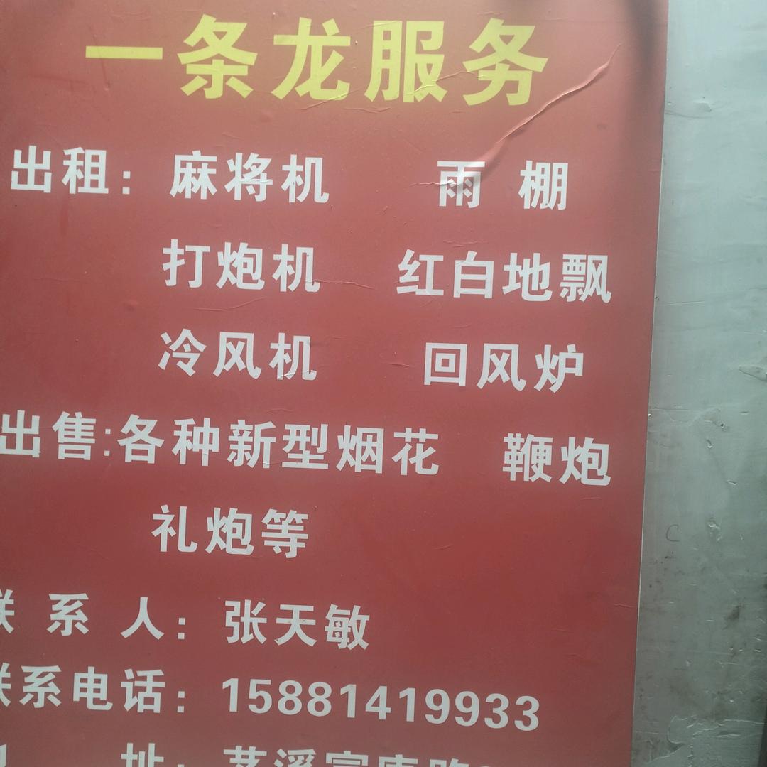 张天敏