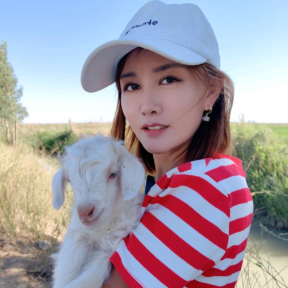 沙雅碱滩牛羊肉店