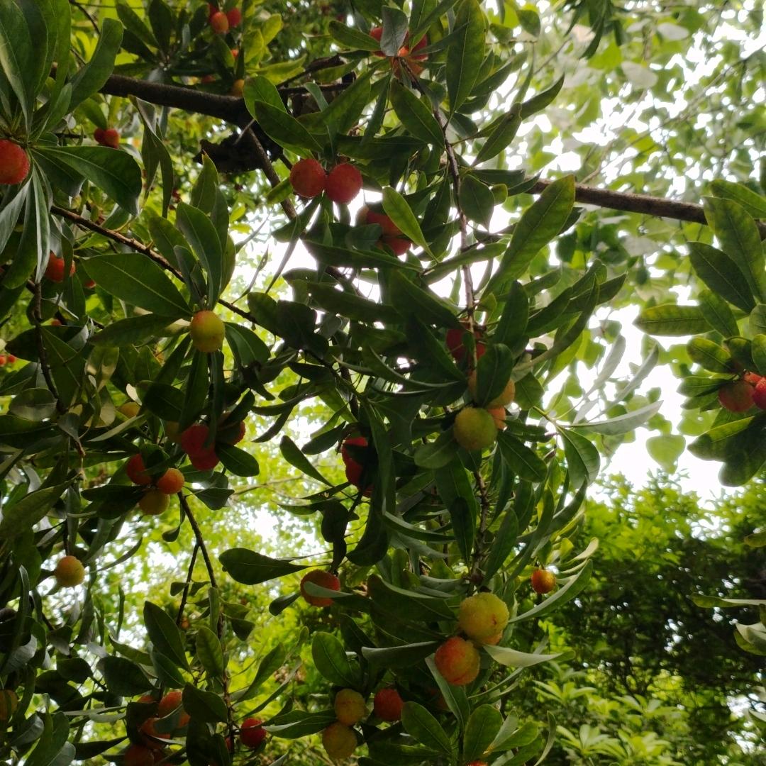 用户4847753470853晨晨