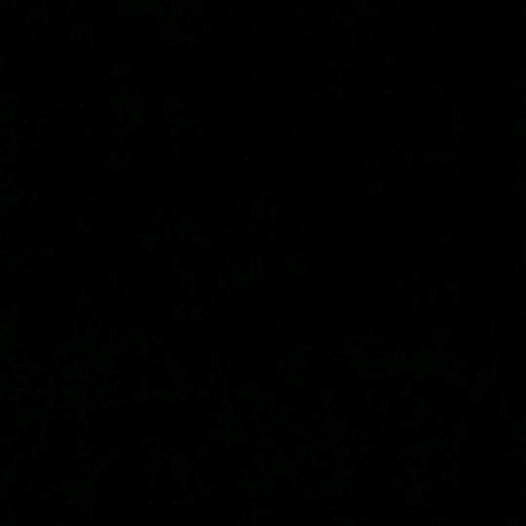 Y//