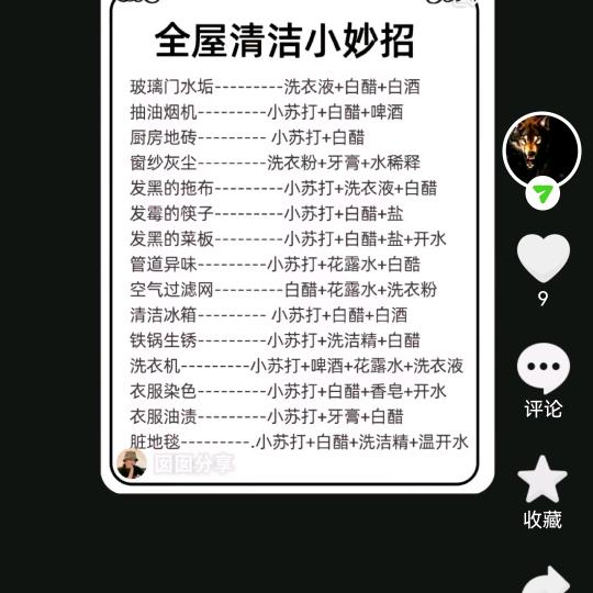 紫罗兰