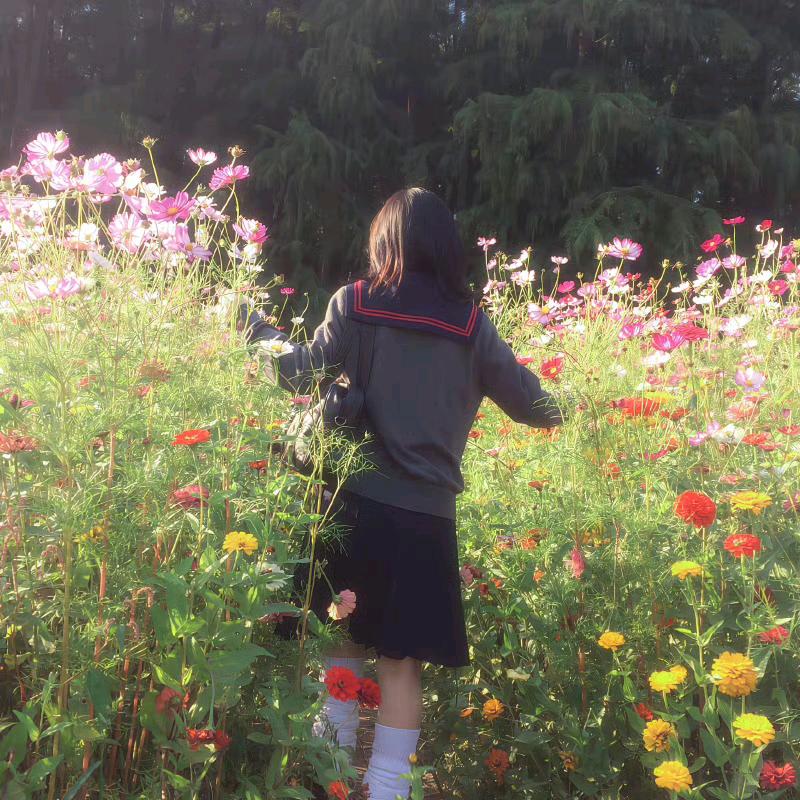 木槿📸