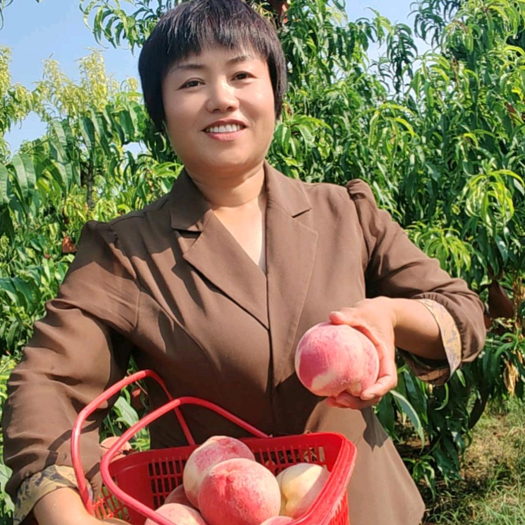 新农人张姐