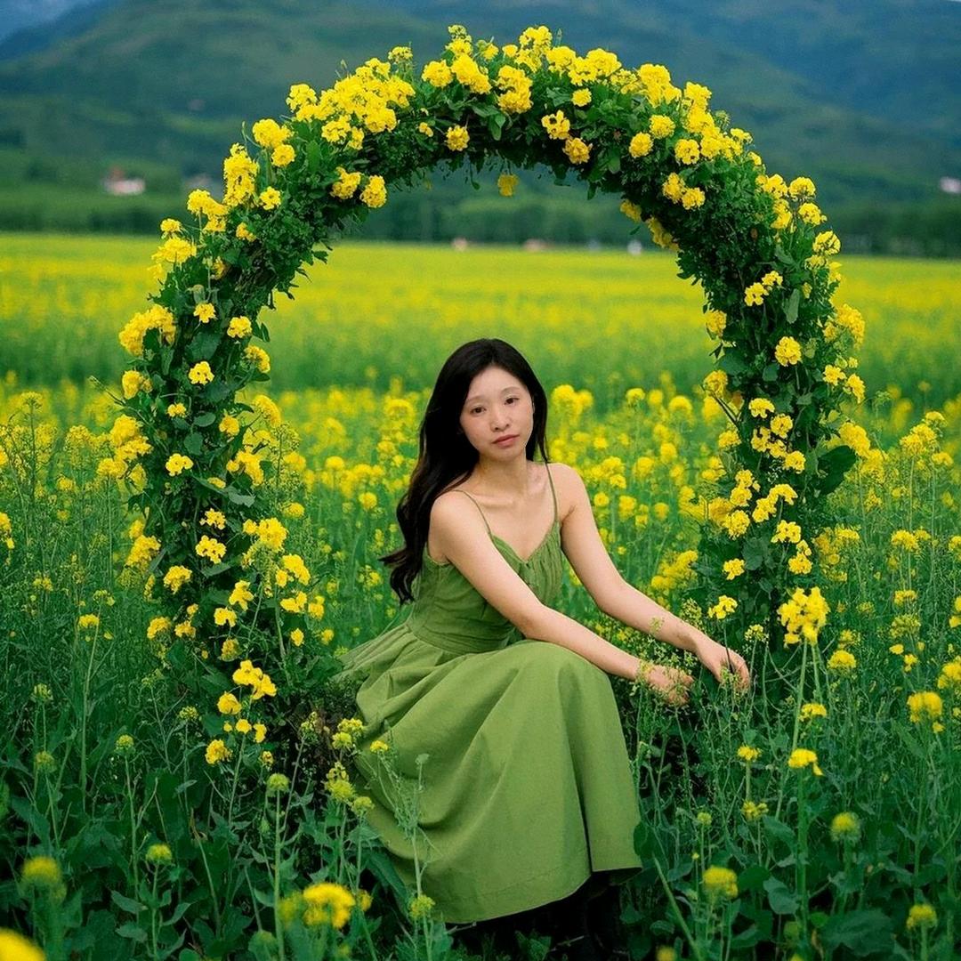 凤栖梧