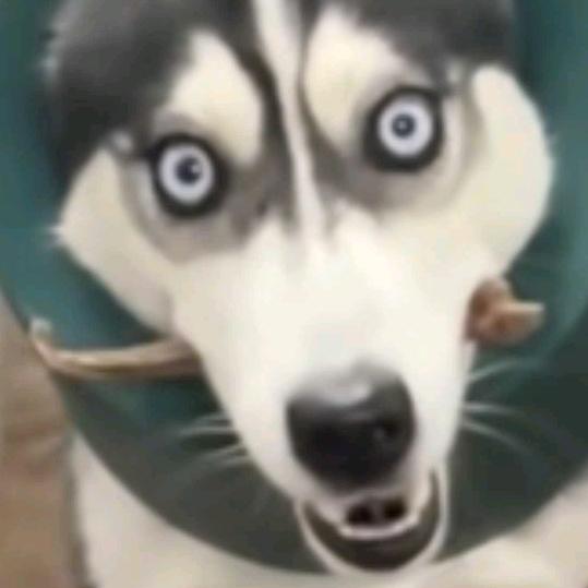 忘却