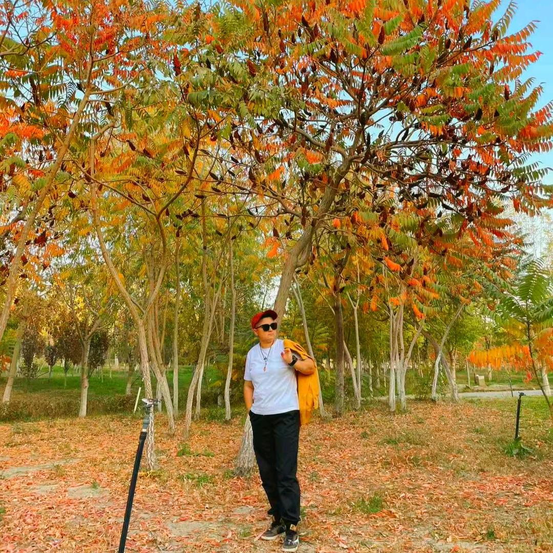 🧊冰冷的心🧊